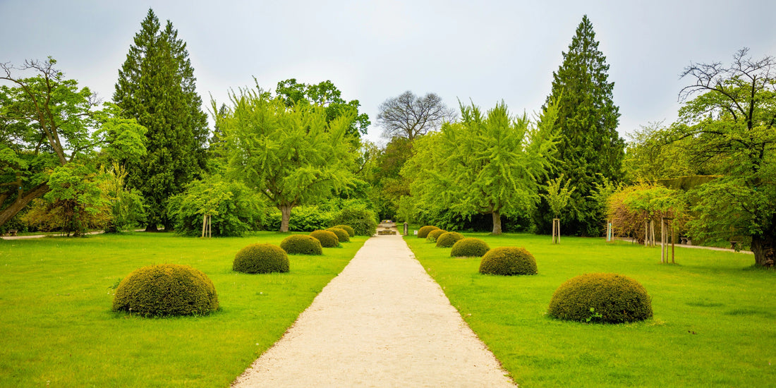 How to Plant – 5 Simple Steps for Success