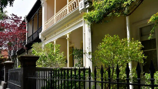 Best Evergreen screening plants for Melbourne landscaping and garden projects
