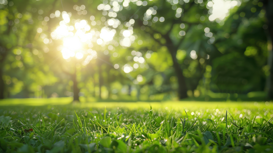 Winter garden tips for Melbourne: prune, mulch, plant, and protect. Keep your garden healthy through the cooler months with these five essentials.