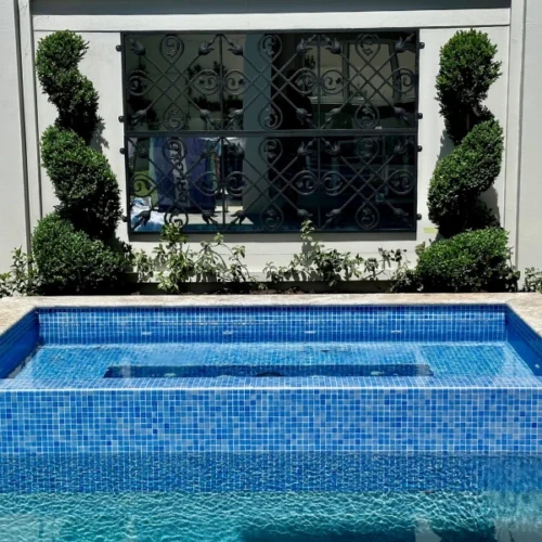 English Box Spiral topiary , create a striking focal point in contemporary or classic style gardens. Ideal for large planter pots, available from Impressive Plants.